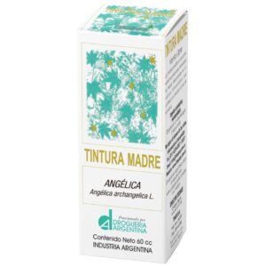 TINTURA MADRE | 155 Angelica